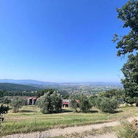 Le Case Di Anita In Toscana - Арецо Екстериор снимка
